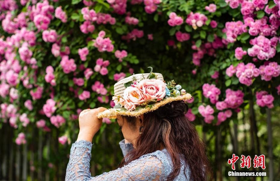 China: flores de ver?o florescem em todo o país