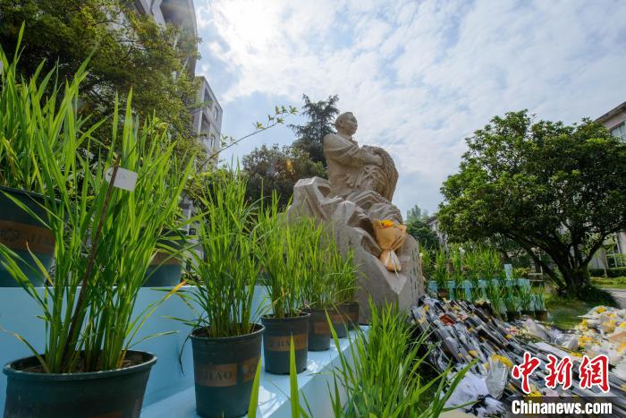 Alma mater de Yuan Longping realiza cerim?nia em sua homenagem no primeiro aniversário após sua morte