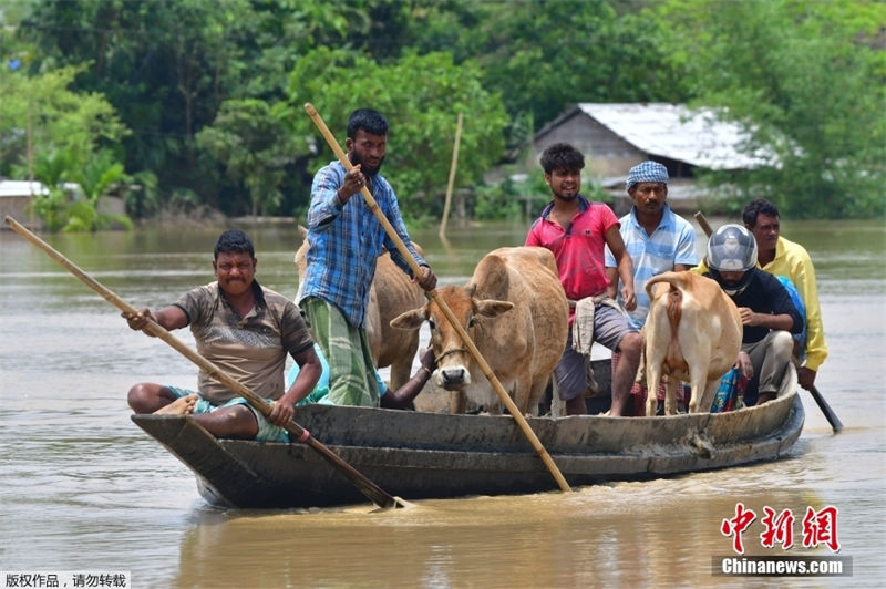 índia: inunda??es causam mais de 800 mil desabrigados no estado de Assam