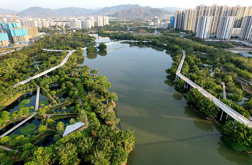 Galeria: pandanos da província de Hainan