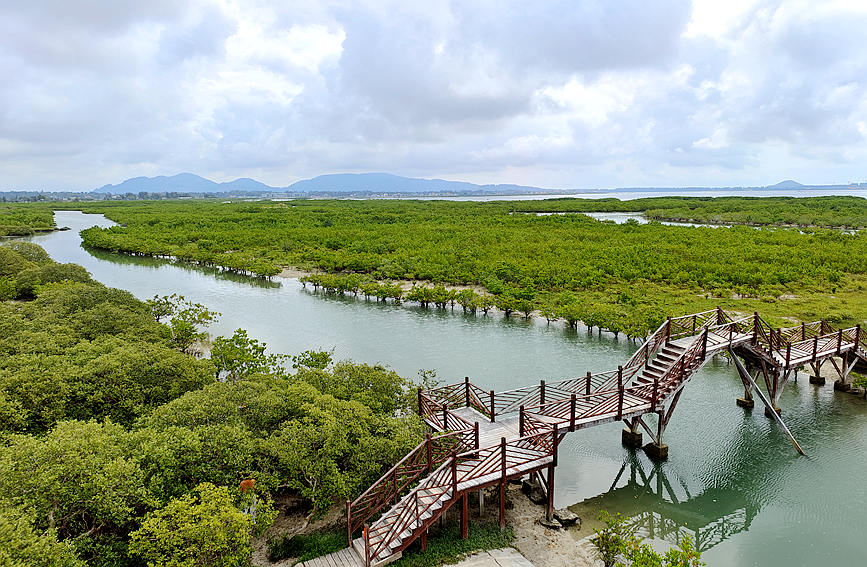 Galeria: pandanos da província de Hainan