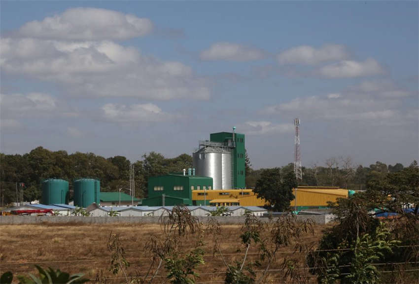 Zambia inaugura usinas de moagem financiadas pela China