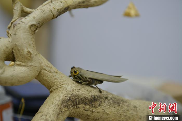 Artes?os promovem ofício folclórico de tecelagem de palha