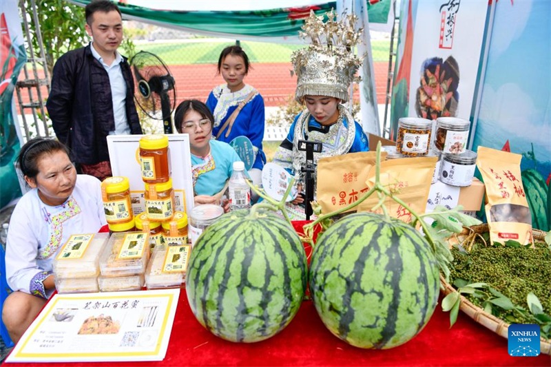 Guizhou: vendas de melancia aumentam renda dos moradores 