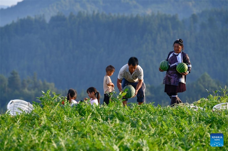Guizhou: vendas de melancia aumentam renda dos moradores 