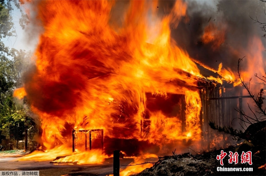 EUA: incêndio florestal na Califórnia queima 63 quil?metros quadrados em 3 dias