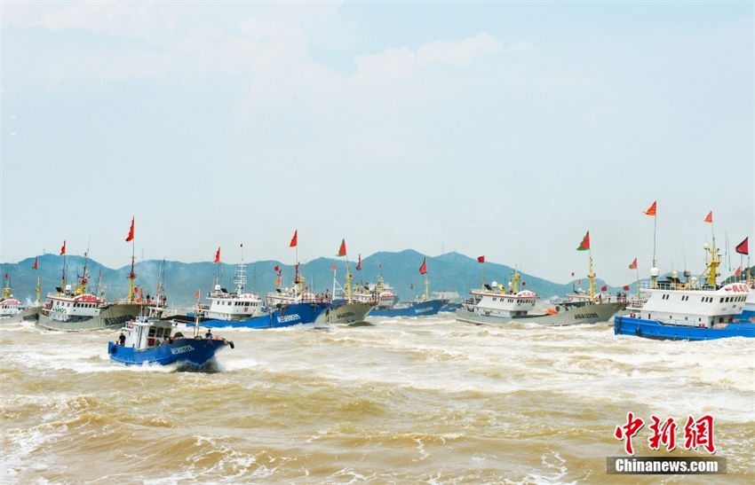 Zhejiang: proibi??o de pesca marítima no ver?o é terminada no Mar da China Oriental