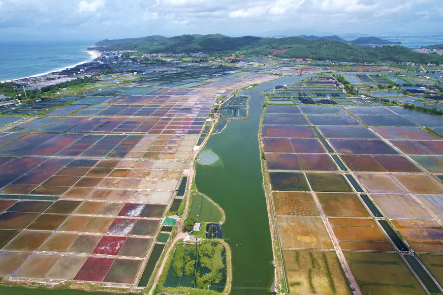 China: campos de sal de Xigang s?o semelhantes à paletas de pintura