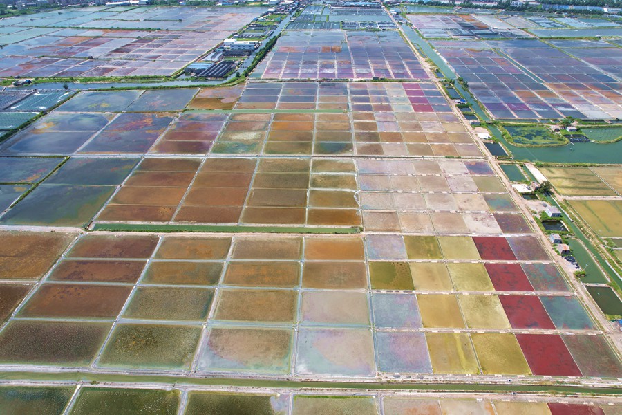 China: campos de sal de Xigang s?o semelhantes à paletas de pintura