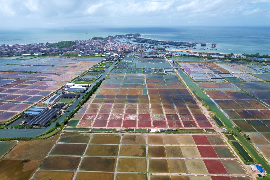 China: campos de sal de Xigang s?o semelhantes à paletas de pintura