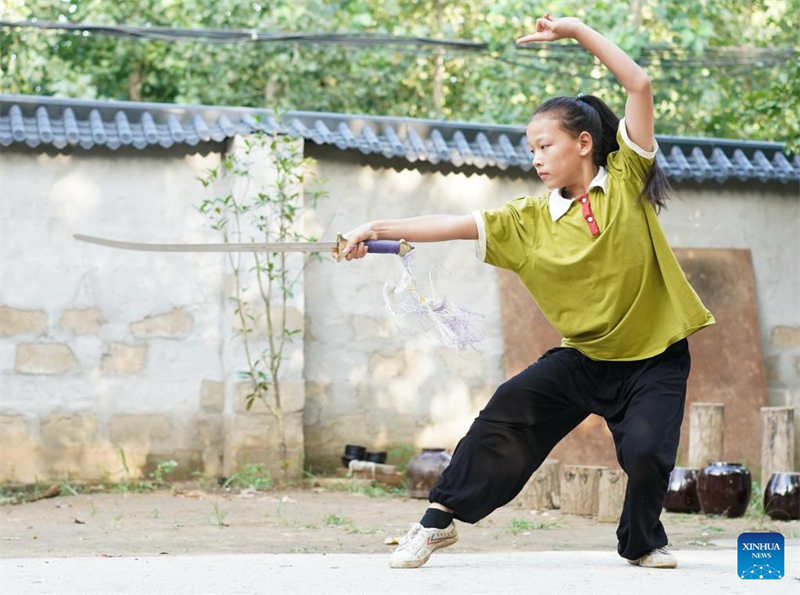 Artes marciais chinesas s?o um sucesso junto dos habitantes de Liuzhuang