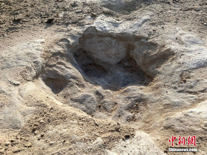EUA: seca em rio revela de pegadas de dinossauros com 113 milh?es de anos