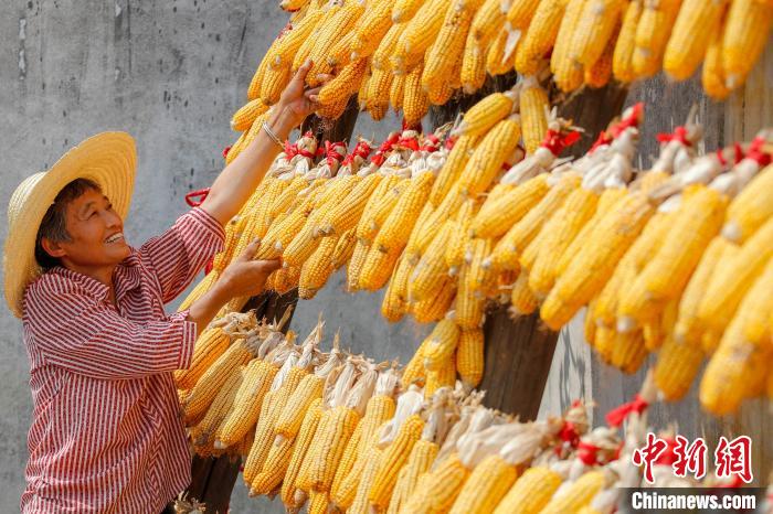 Anhui: antiga aldeia recebe boa colheita