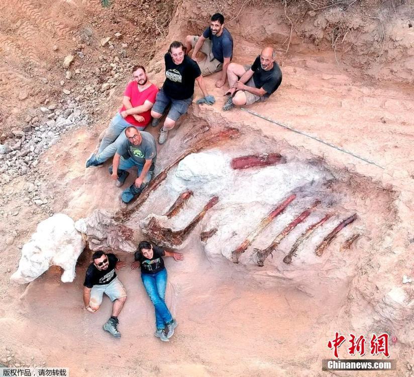 Fósseis de dinossauros gigantes s?o encontrados em Portugal