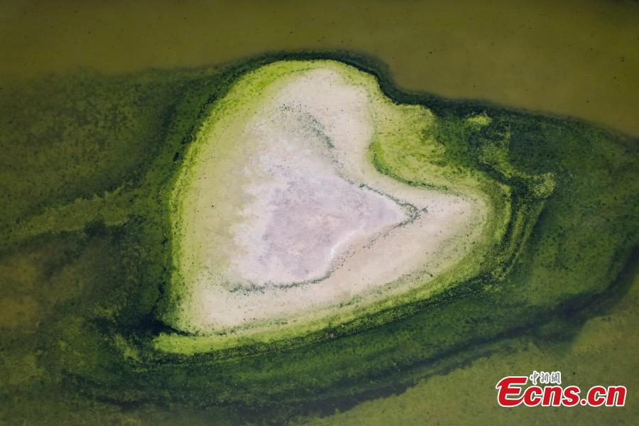 Diferentes forma??es salinas surgem no “Mar Morto” da China  