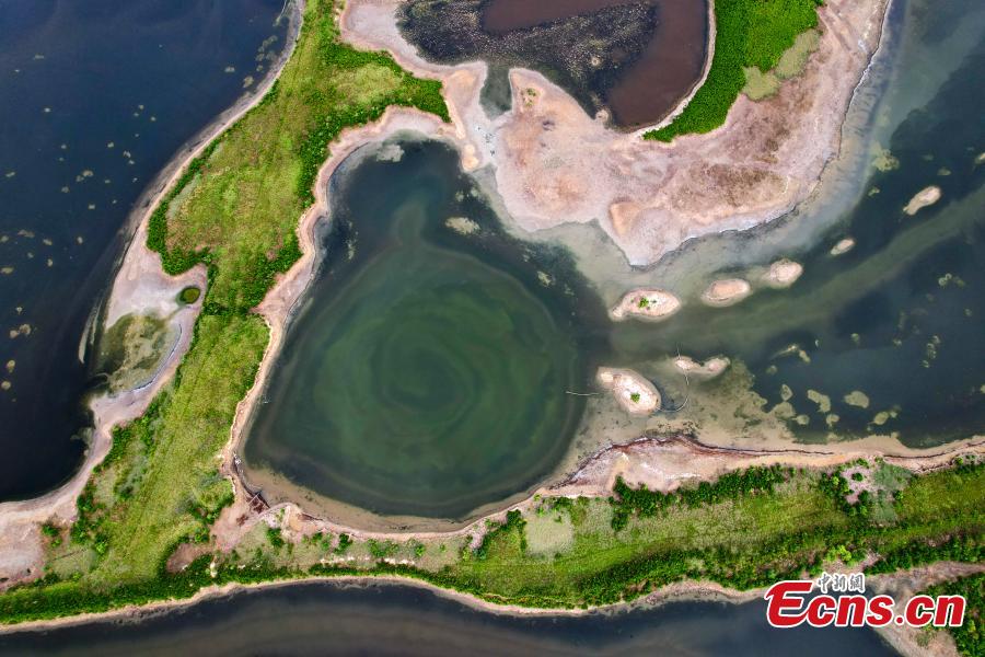 Diferentes forma??es salinas surgem no “Mar Morto” da China  