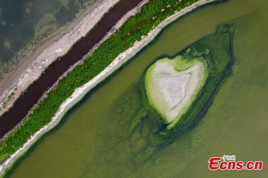 Diferentes forma??es salinas surgem no “Mar Morto” da China  