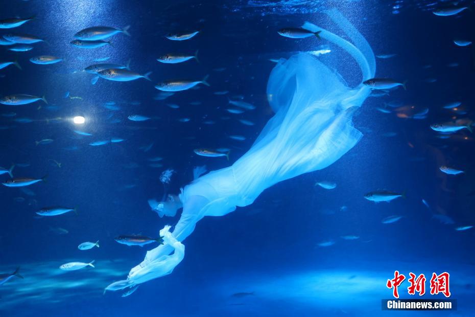 Nanjing: mundo subaquático lan?a uma série de atividades da ciência popular