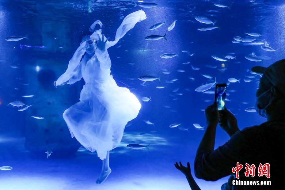 Nanjing: mundo subaquático lan?a uma série de atividades da ciência popular