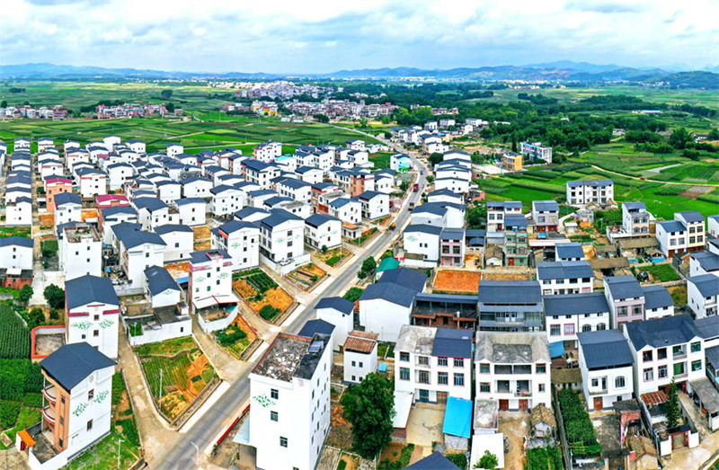 Cidade chinesa de Hengzhou é famosa pelas flores de jasmim