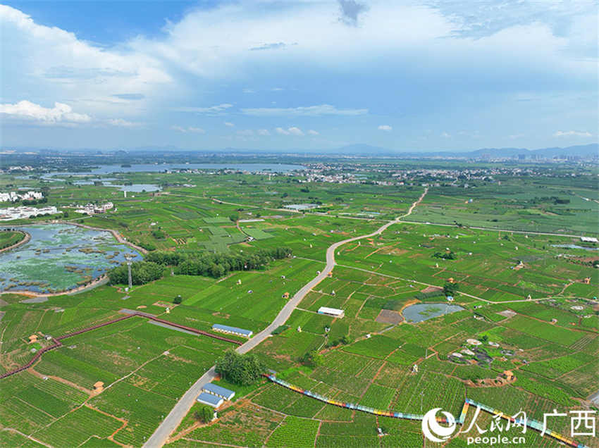 Galeria: Jardim de Jasmim Chinês de Hengzhou, Guangxi