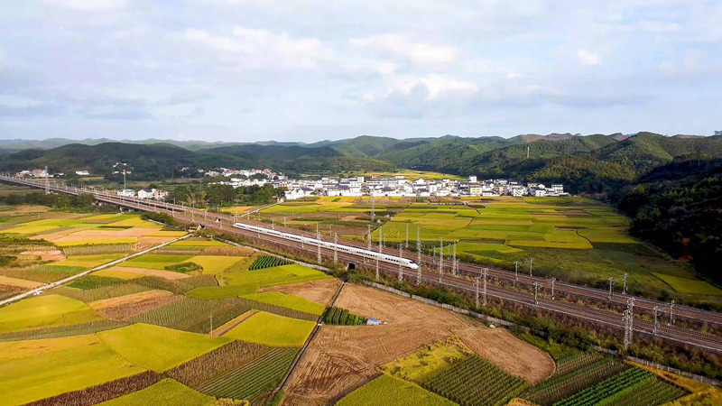 Guangxi: indústrias especiais promovem revitaliza??o rural