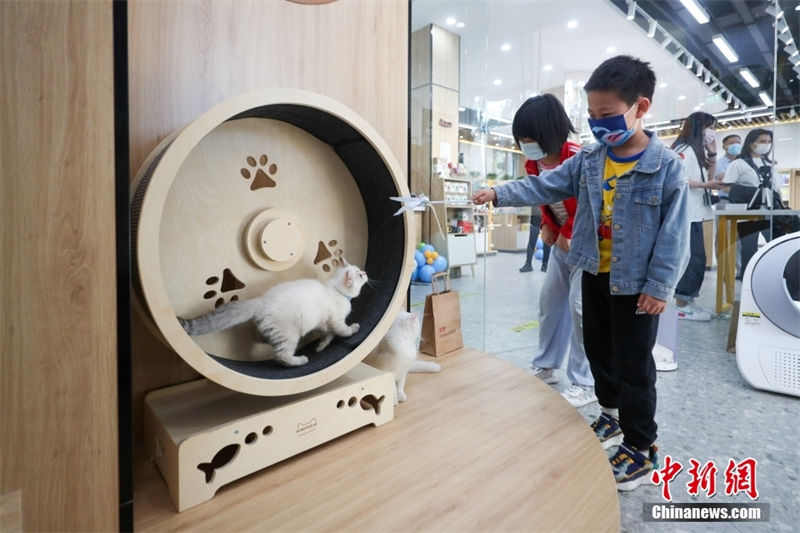 Primeira Livraria Xinhua com tema de animais de estima??o é inaugurada em Beijing