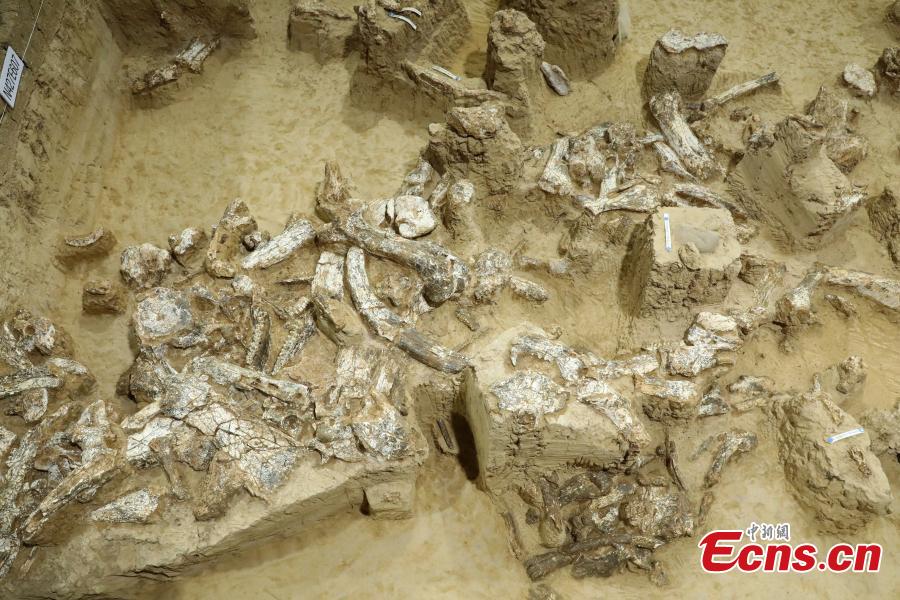 Novo cranio fossilizado do Homem Yunxian foi encontrado no centro da China