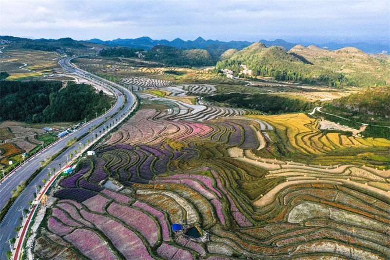 Guizhou: distrito de Guiyang visa promover vitaliza??o rural com turismo agrícola