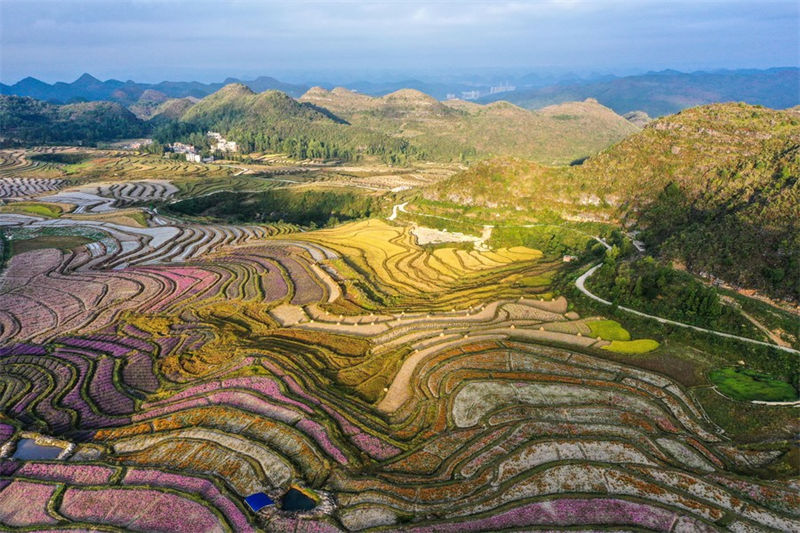 Guizhou: distrito de Guiyang visa promover vitaliza??o rural com turismo agrícola