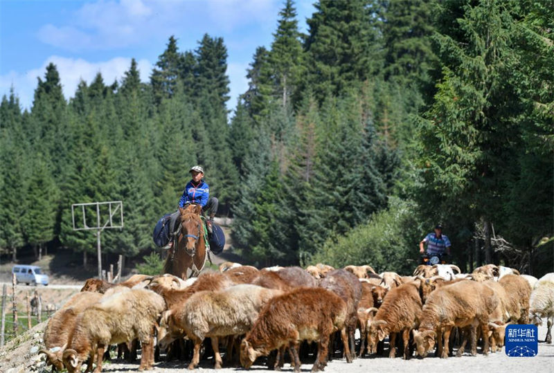 Xinjiang construi 62.200 km de novas estradas em dez anos