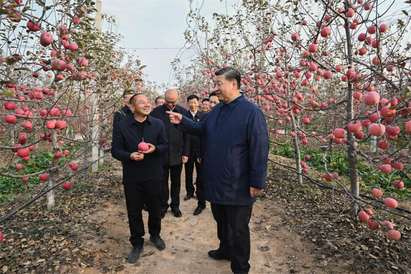 Xi Jinping destaca avan?o da revitaliza??o rural em inspe??es a Shaanxi, Henan