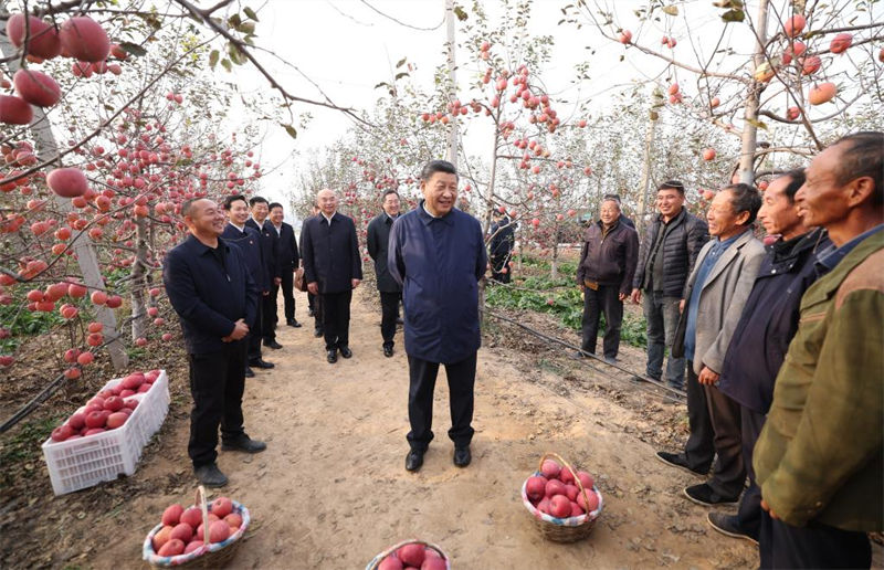 Xi Jinping destaca avan?o da revitaliza??o rural em inspe??es a Shaanxi, Henan