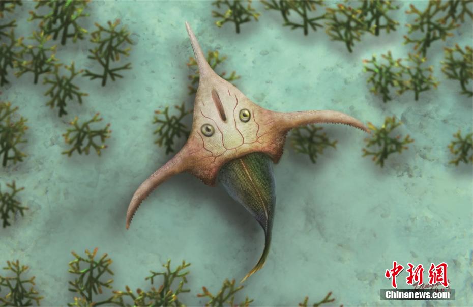 Academia Chinesa de Ciências disponibiliza representa??o de pterogonaspis, espécie com 410 milh?es de anos