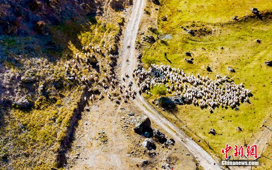 Galeria: Xinjiang inicia temporada de atividade pecuária de inverno