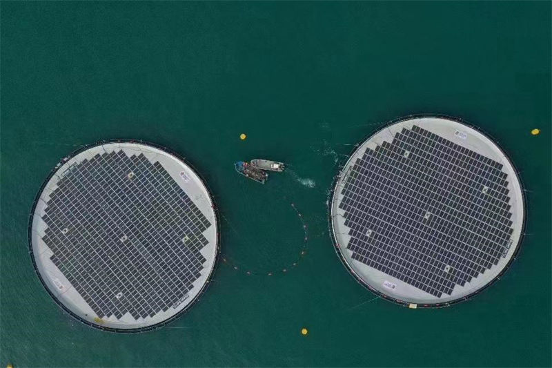 Primeiro projeto eólico-solar híbrido flutuante do mundo entrou em opera??o no leste da China
