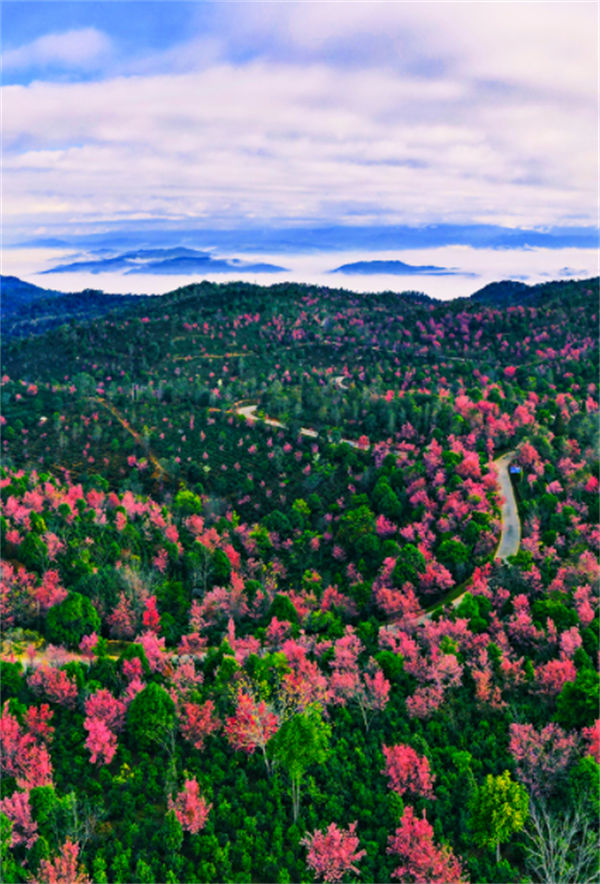Galeria: belas paisagens das quatro esta??es de Yunnan