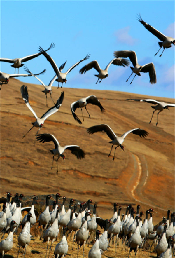 Galeria: belas paisagens das quatro esta??es de Yunnan