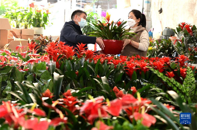 Mercados de flores est?o animados com aproxima??o do Ano Novo