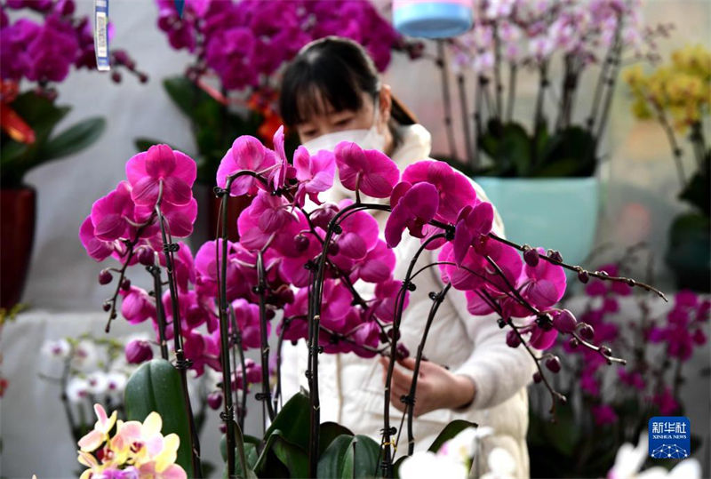 Mercados de flores est?o animados com aproxima??o do Ano Novo