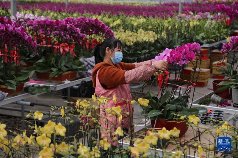 Mercados de flores est?o animados com aproxima??o do Ano Novo