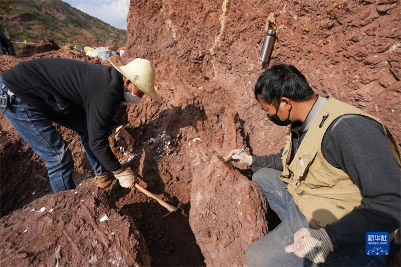 Yunnan: trabalho de escava??o de 9 novos sítios de fósseis de dinossauros é iniciado