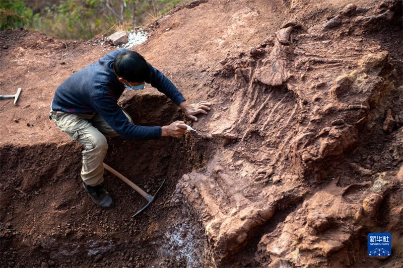 Yunnan: trabalho de escava??o de 9 novos sítios de fósseis de dinossauros é iniciado