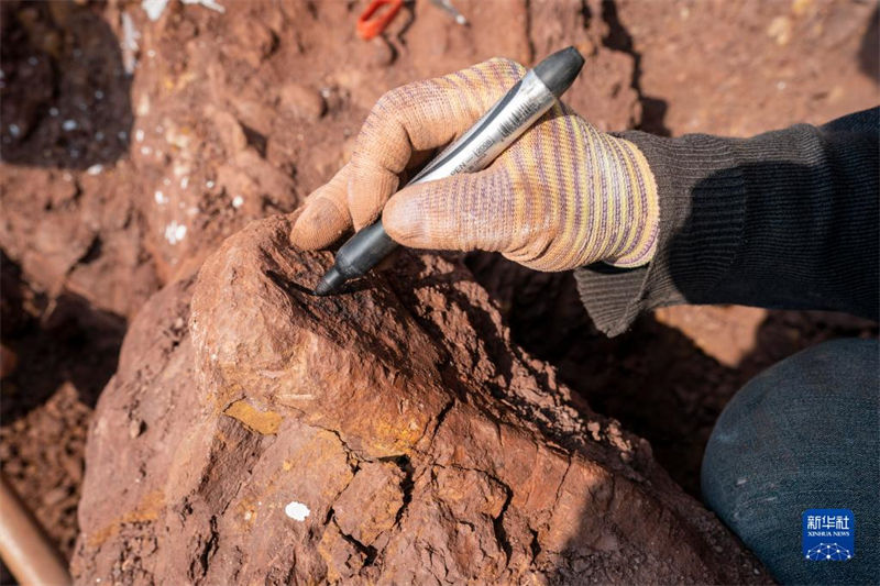 Yunnan: trabalho de escava??o de 9 novos sítios de fósseis de dinossauros é iniciado