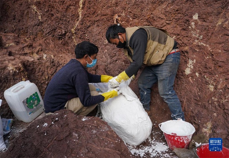 Yunnan: trabalho de escava??o de 9 novos sítios de fósseis de dinossauros é iniciado