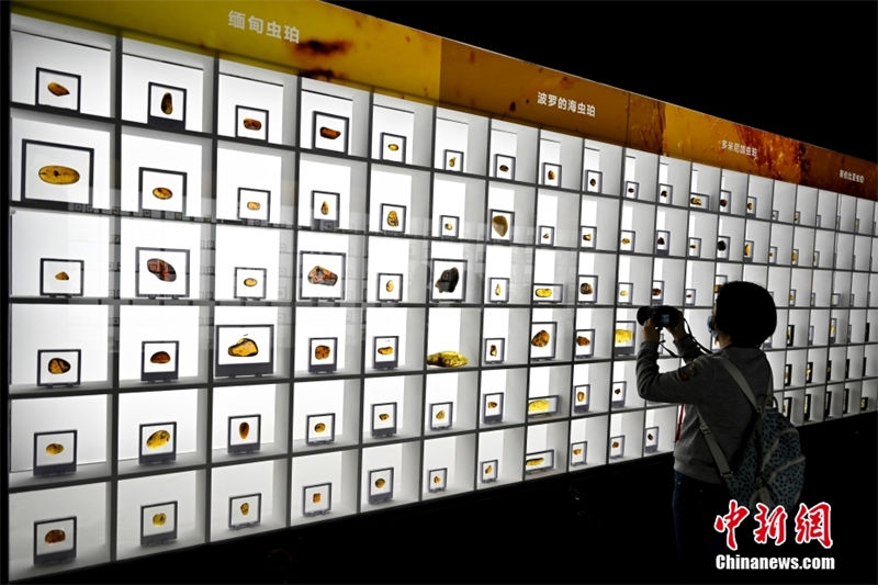 Museu de Guangzhou exibe mais de 700 pe?as de ambar