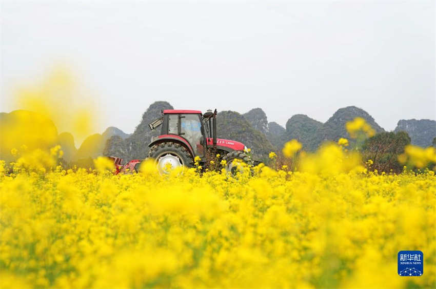 Galeria: arado de primavera come?a em toda a China