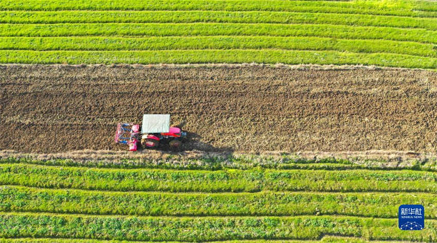 Galeria: arado de primavera come?a em toda a China