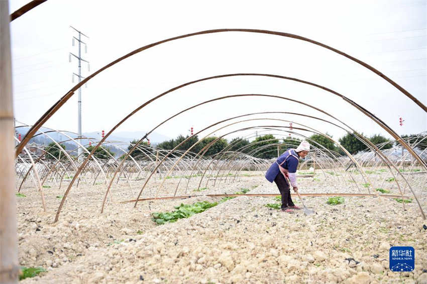 Galeria: arado de primavera come?a em toda a China