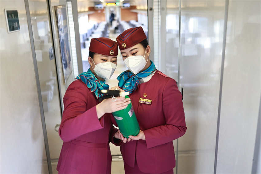 Comissárias de bordo de trem gêmeas passam férias ao servi?o